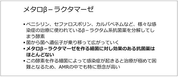 図3　メタロ&beta;-ラクタマーゼ