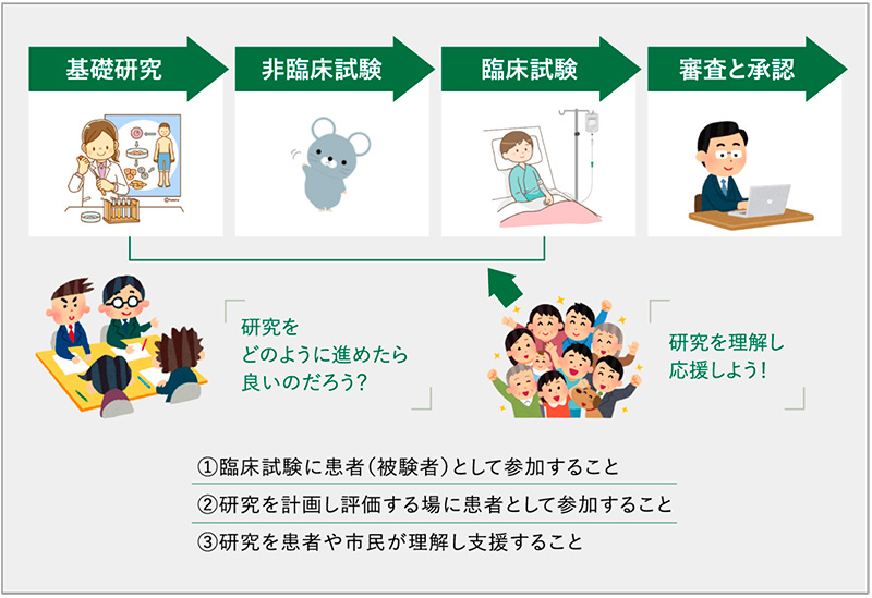 図3　研究の流れと患者参画（Patient and Public Involvement：PPI）