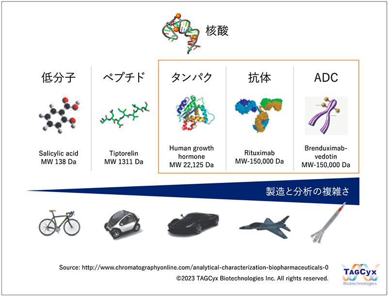 図4　医薬品分子の製造と分析の複雑さの比較